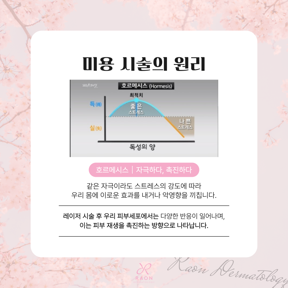 Chief Director’s Skin Column | Seongdong-gu Dermatology: Is Ulthera and Density High Laser Lifting Safe? image 3