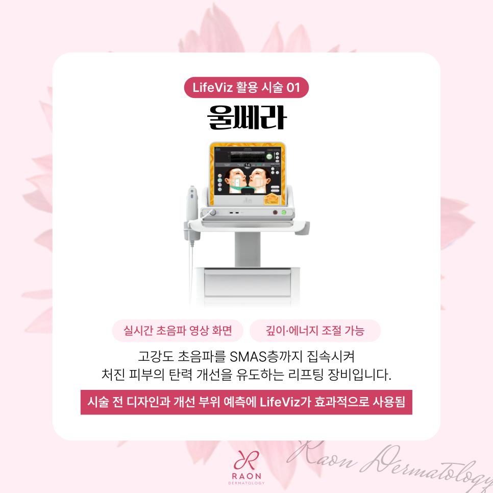 When Can a Dermatology Clinic at Wangsimni Station Use 3D and 2D Facial Analyzers, Including Ulthera? image 3