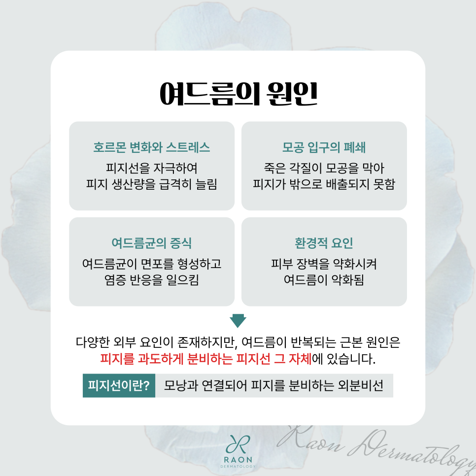 성동구 피부과 바늘 고주파 여드름 치료 이해하기 2편 [백종헌 원장 칼럼] 관련 이미지 2