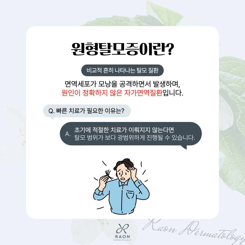 성동구 피부과 원형탈모증 트리암시놀론 주사, 초기 탈모 치료효과는? 관련 이미지 2