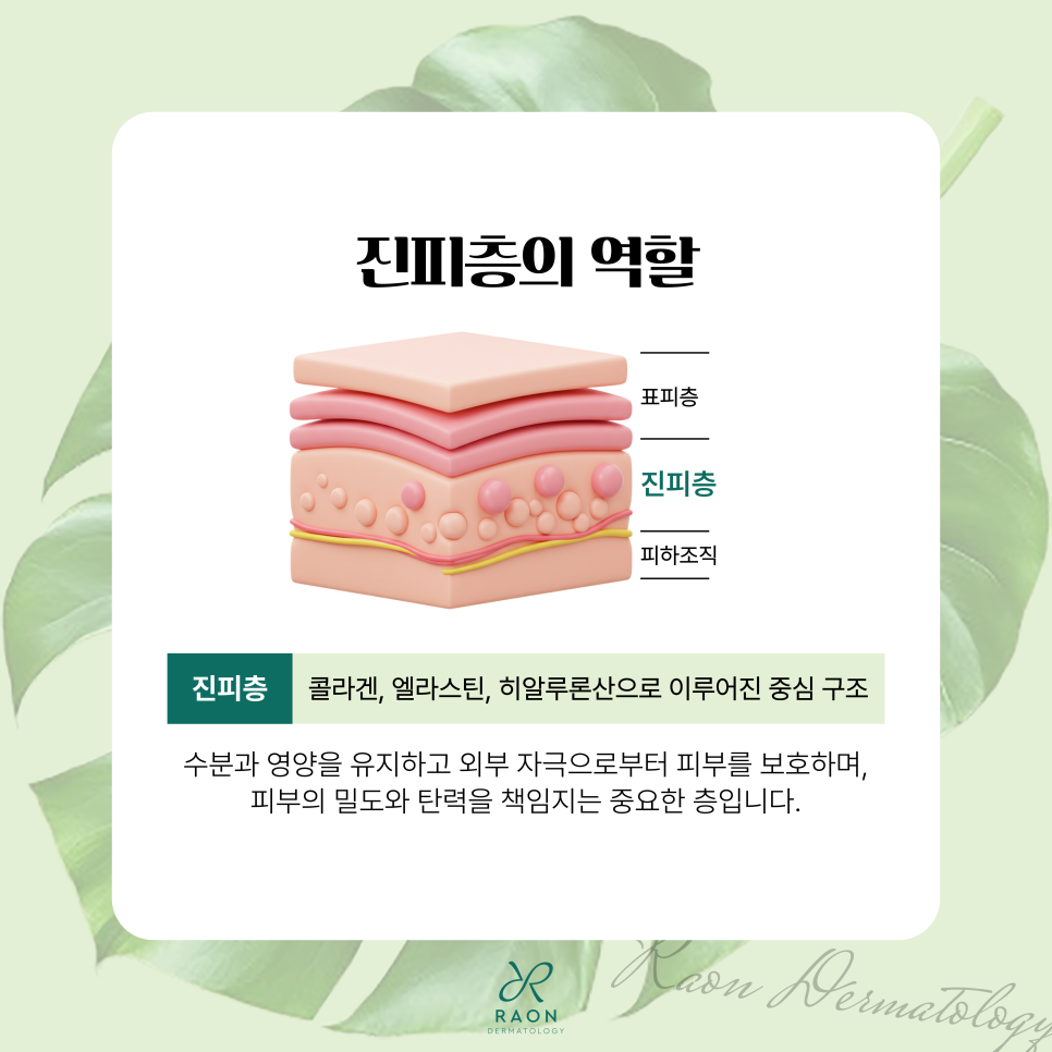 Why Dermal Layer Health Matters and How to Care for It at Oksoo Station Dermatology Clinic (Densiti High, Juvelook, etc.) image 2