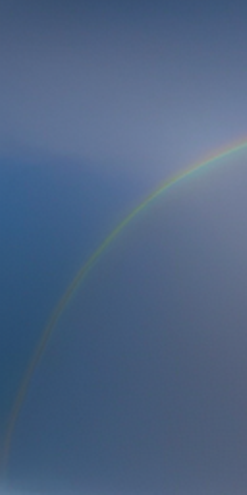 무삭제 라미네이트비용 특징 알아보자 관련 이미지 12