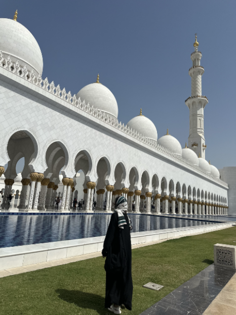 2025년 3월 2D치과 두바이 워크샵 관련 이미지 4