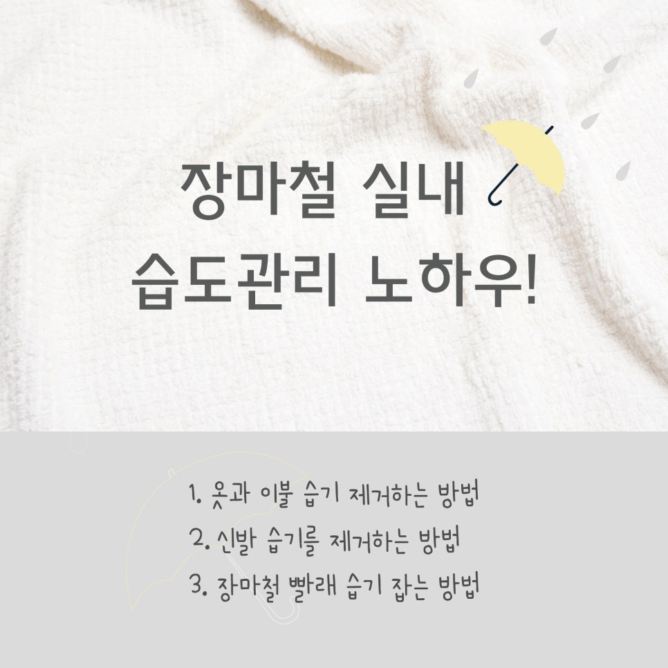 장마철 실내 습도관리 노하우 대공개!(ft.곰팡이, 신발,옷,이불,빨래) 관련 이미지 2