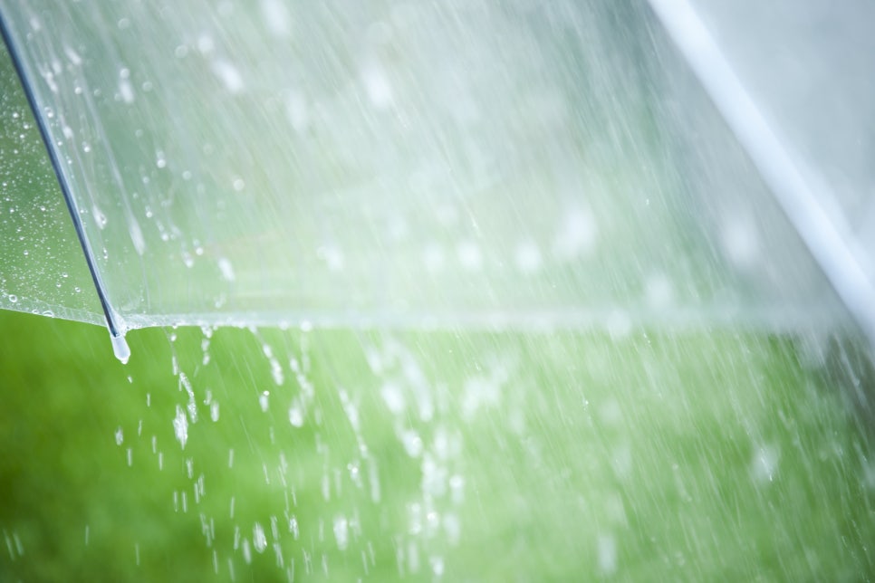 [2D우산] 갑자기 비가 와도, 걱정하지 마세요! 관련 이미지 4