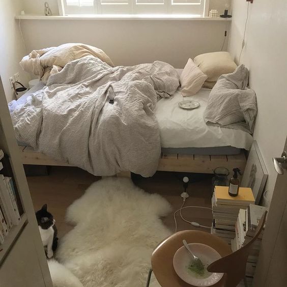 장마철 실내 습도관리 노하우 대공개!(ft.곰팡이, 신발,옷,이불,빨래) 관련 이미지 10