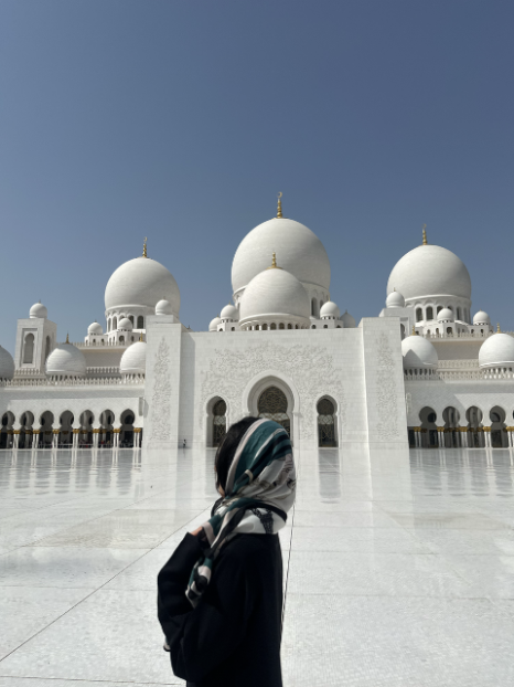 2025년 3월 2D치과 두바이 워크샵 관련 이미지 5