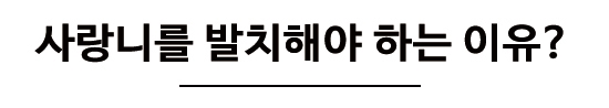 놔두면 더 아프기만 한 사랑니에 대해 알아볼까요? 관련 이미지 8