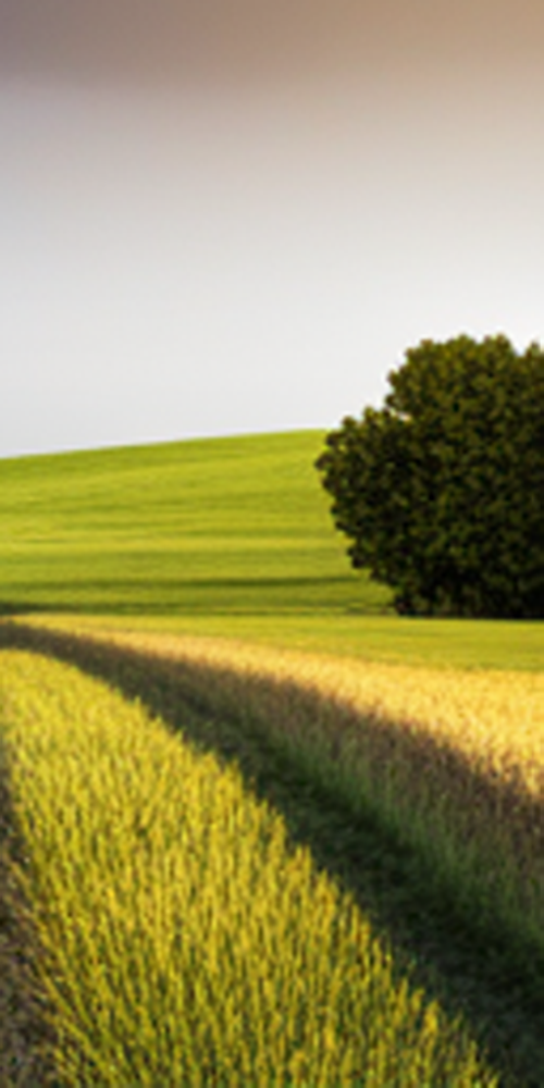 무삭제 라미네이트비용 특징 알아보자 관련 이미지 18