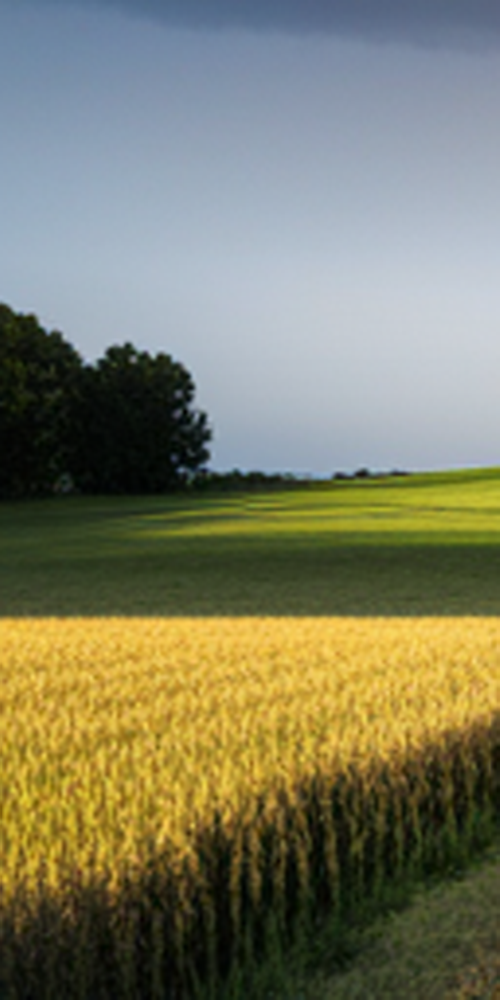 무삭제 라미네이트비용 특징 알아보자 관련 이미지 16