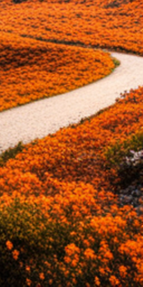 치과라미네이트 비용보다 중요한 것은? 관련 이미지 19