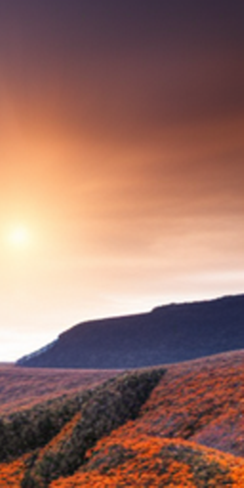 치과라미네이트 비용보다 중요한 것은? 관련 이미지 15