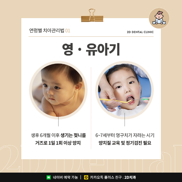 평생 함께하는 치아, 이렇게 치아관리하세요! 관련 이미지 3