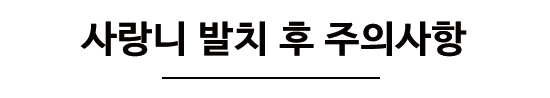 놔두면 더 아프기만 한 사랑니에 대해 알아볼까요? 관련 이미지 12