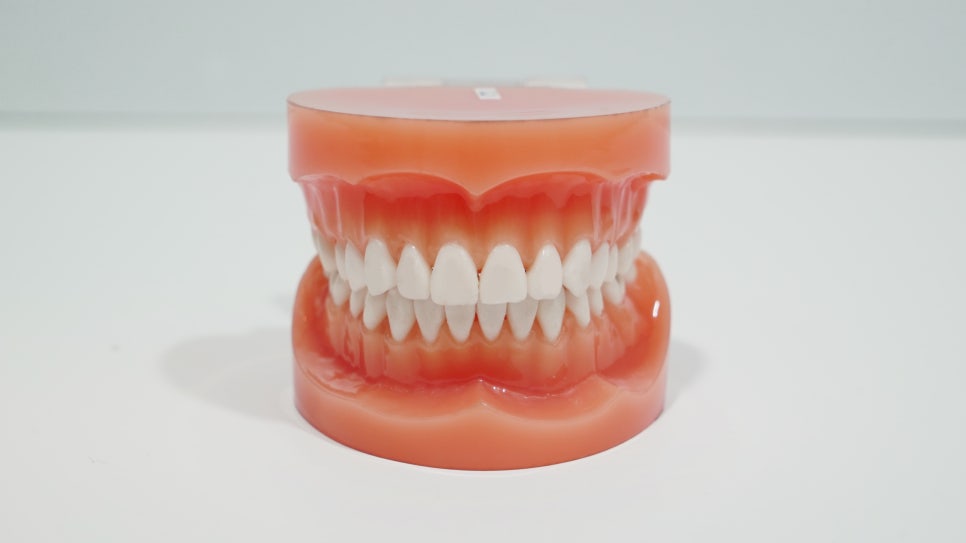 2D(투디)치과!치아교정!클리피씨교정,순측 교정?설측교정? 관련 이미지 5