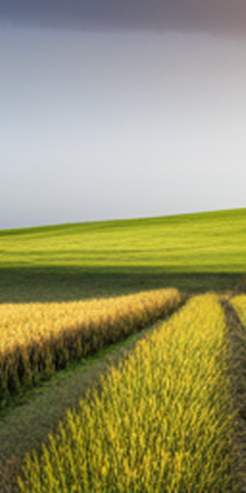 무삭제 라미네이트비용 특징 알아보자 관련 이미지 17