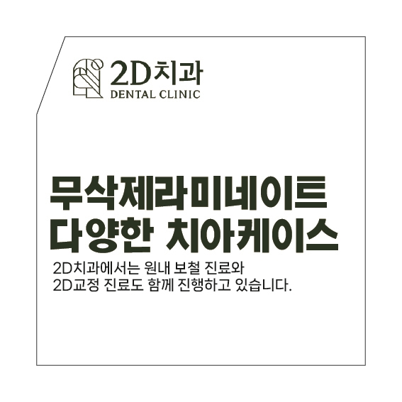 라미네이트교정 나비치아 토끼앞니 블랙필름 관련 이미지 5