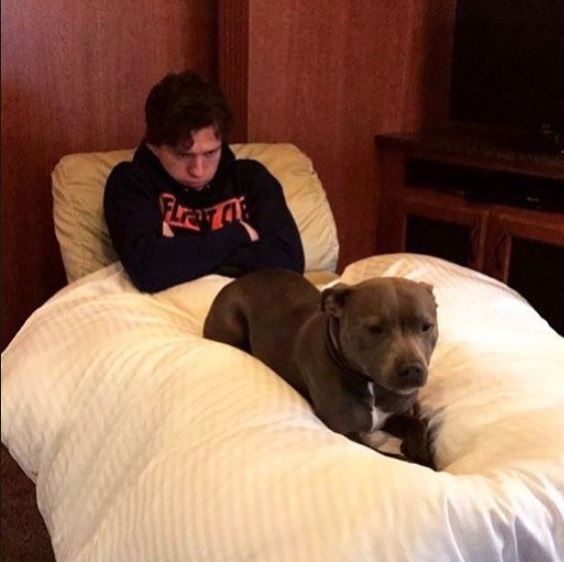 스파이더맨 톰 홀랜드 좋아하는사람 모여라!(feat. 톰홀랜드 남친짤) 관련 이미지 9