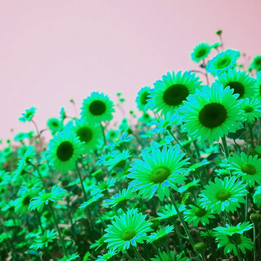 치아무삭제라미네이트 앞니크랙 이 손상 줄이면서 보완하기 관련 이미지 13