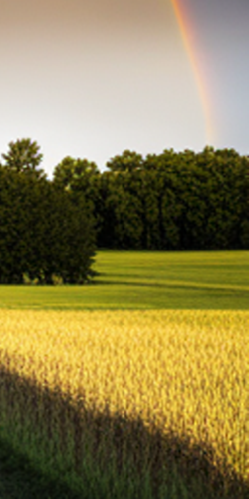 무삭제 라미네이트비용 특징 알아보자 관련 이미지 19