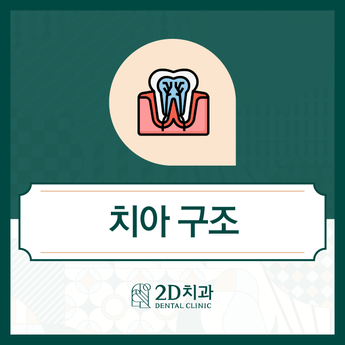 생소했던 치아구조, 함께 알아봐요! 관련 이미지 1