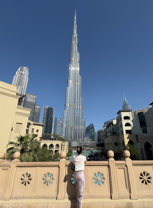 2025년 3월 2D치과 두바이 워크샵 관련 이미지 6