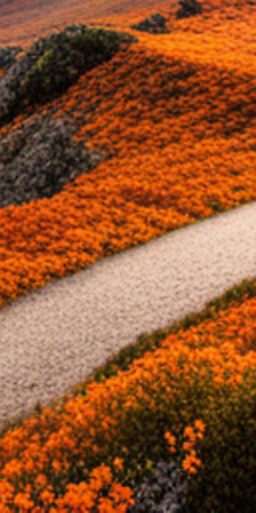 치과라미네이트 비용보다 중요한 것은? 관련 이미지 18