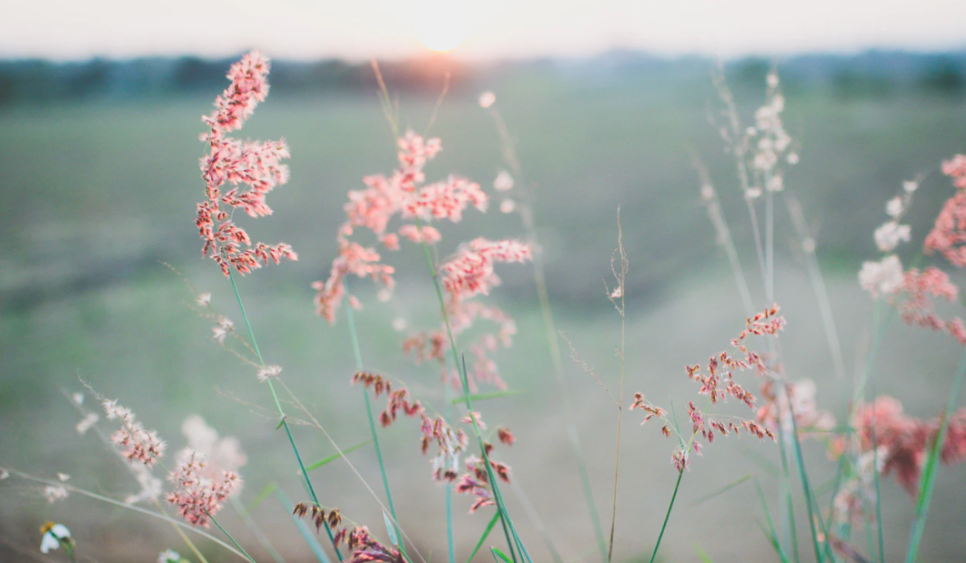 힐링도서 관련 이미지 4