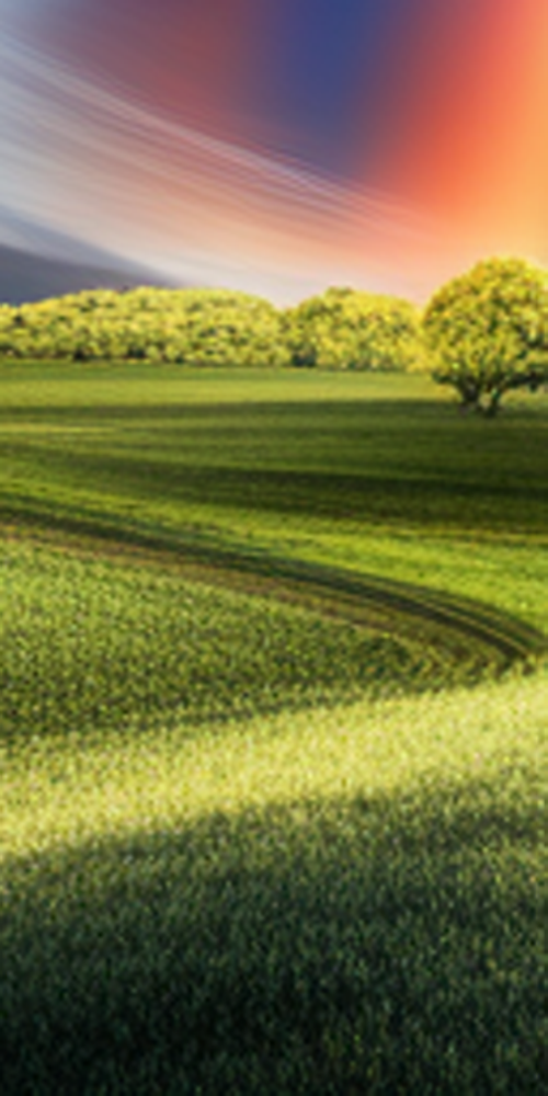 자연스러운 앞니라미네이트를 위한 방법 관련 이미지 16