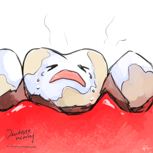 잇몸 관리의 중요성과 관리 방법, 강남 2D치과 관련 이미지 2