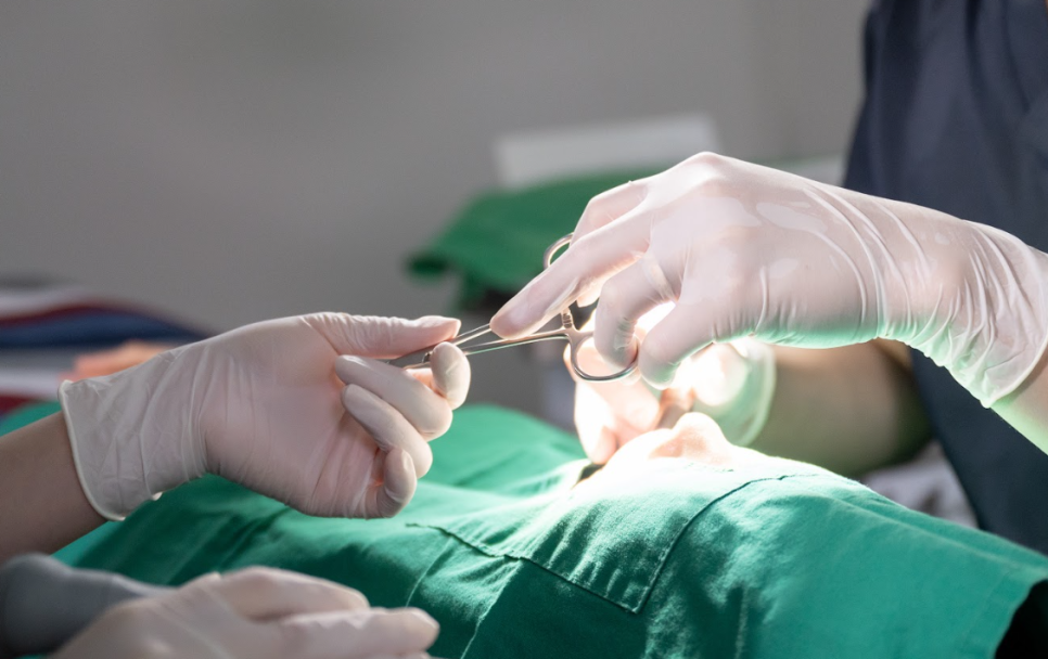 앞니임플란트비용, &lsquo;얼마&rsquo;보다 &lsquo;왜&rsquo;가 먼저입니다. 관련 이미지 6