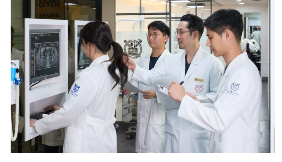 앞니미니쉬, 시림·관리·교체주기 한 번에 정리합니다. 관련 이미지 9