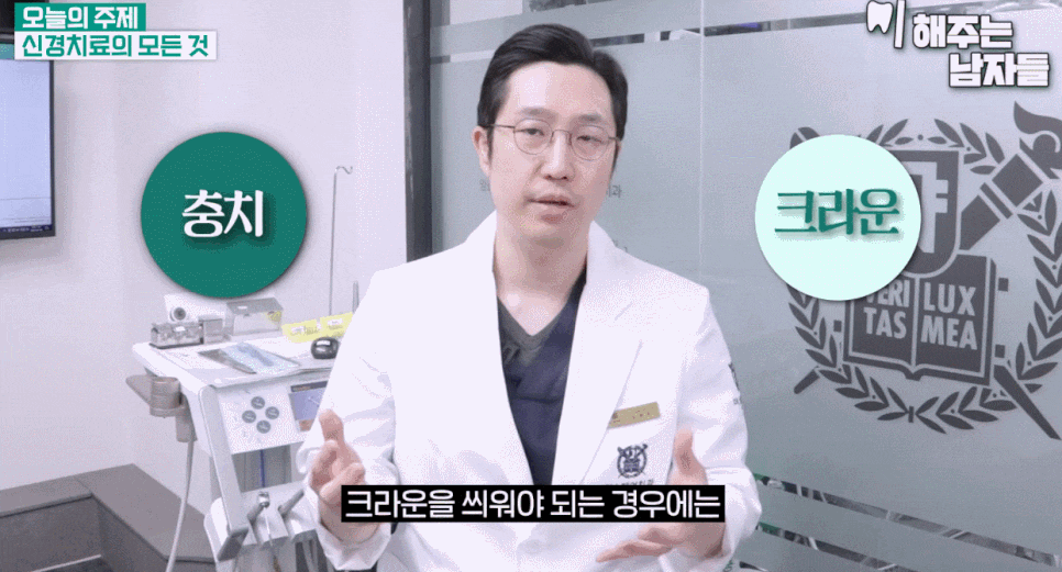 크라운신경치료 여부 & 크라운 치료 기간 & 수명 요점 정리 관련 이미지 2