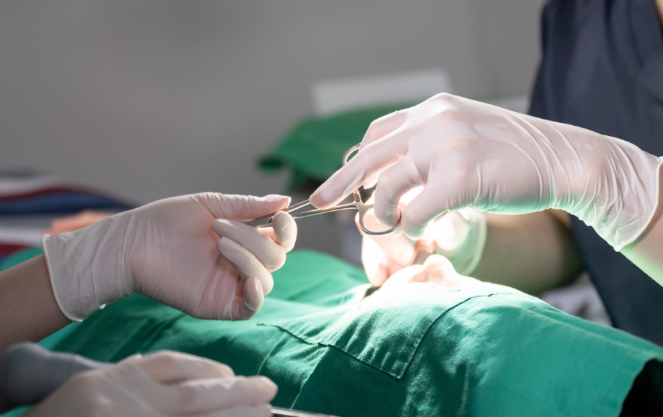 임플란트저렴한곳? 저렴함 뒤에 숨겨진 차이를 보셔야 합니다. 관련 이미지 9