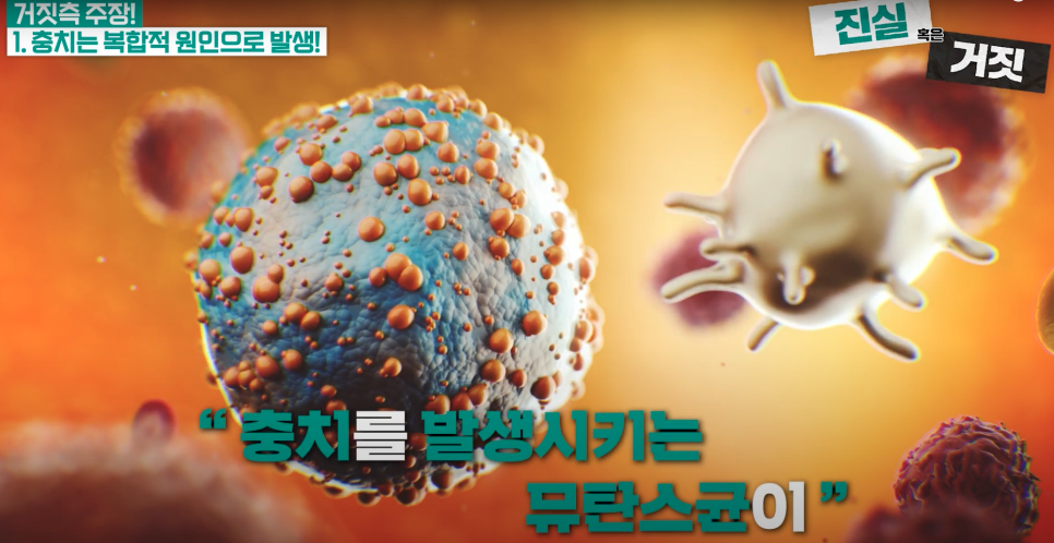 광화문야간진료치과 부모의 뽀뽀, 아이 충치와 정말 연관이 있을까요? 관련 이미지 3