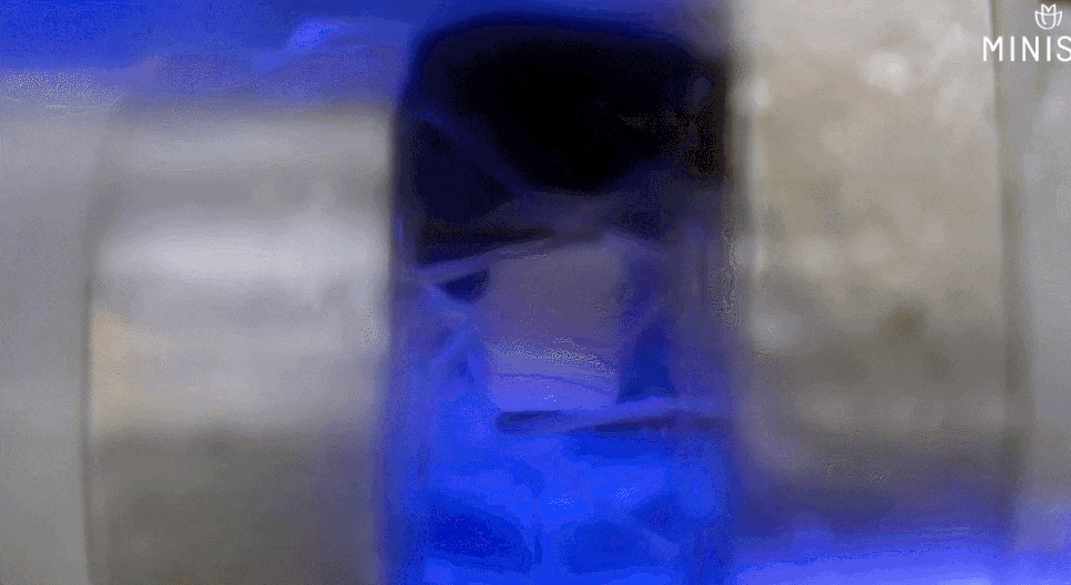 미니쉬치과의원 선택 전, 이 기준은 확인하셨나요? 관련 이미지 4