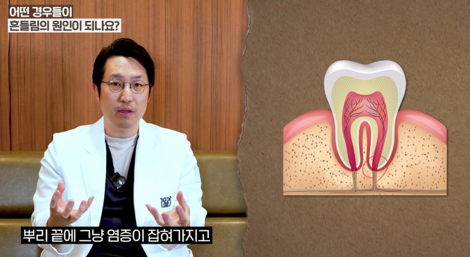 청량리치과 흔들리는 치아, 무조건 발치해야 될까요? 관련 이미지 5