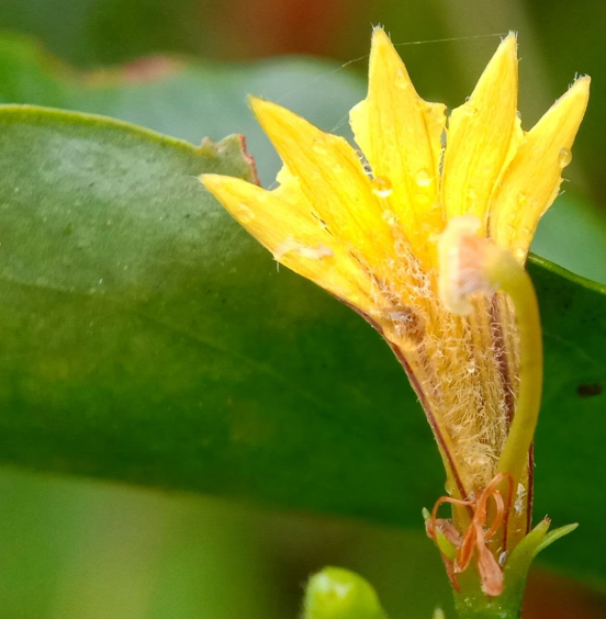 여성이 건강한 생활 리듬을 조정하고 최적화할 필요가 있을 때 관련 이미지 1
