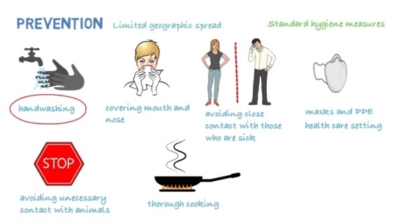 [리더스진 치과의원] 서울대학교 대학원 연구실에서 동물성 바이러스 연구를 하신 경험이 있으신 전진모 원장님의 우한바이러스 치료제 (원인, 발생, 역학, 예방, 치료, 백신)-(3) 관련 이미지 3