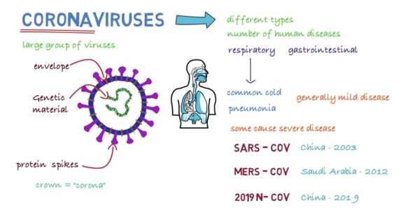 [리더스진 치과의원] 서울대학교 대학원 연구실에서 동물성 바이러스 연구를 하신 경험이 있으신 전진모 원장님의 우한바이러스 치료제 (원인, 발생, 역학, 예방, 치료, 백신)-(2) 관련 이미지 2