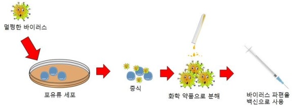 [리더스진 치과의원] 서울대학교 대학원 연구실에서 동물성 바이러스 연구를 하신 경험이 있으신 전진모 원장님의 우한바이러스 치료제 (원인, 발생, 역학, 예방, 치료, 백신)-(3) 관련 이미지 2