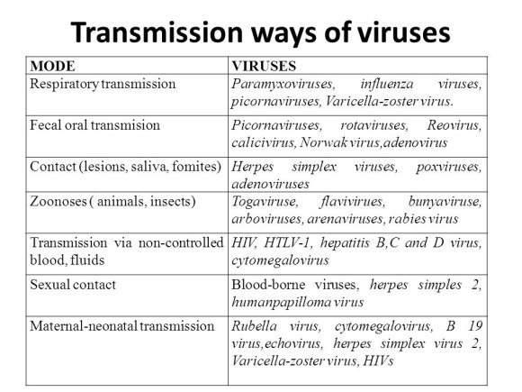 [리더스진 치과의원] 서울대학교 대학원 연구실에서 동물성 바이러스 연구를 하신 경험이 있으신 전진모 원장님의 우한바이러스 치료제 (원인, 발생, 역학, 예방, 치료, 백신)-(2) 관련 이미지 3