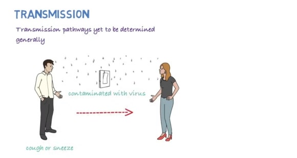 [리더스진 치과의원] 서울대학교 대학원 연구실에서 동물성 바이러스 연구를 하신 경험이 있으신 전진모 원장님의 우한바이러스 치료제 (원인, 발생, 역학, 예방, 치료, 백신)-(2) 관련 이미지 4