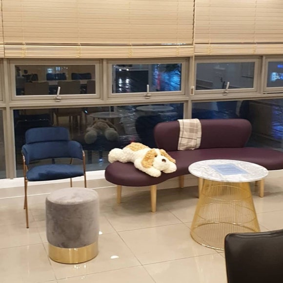 [숭실대입구역치과]믿을수있는치과 일요일치과 리더스진 치과입니다^^ 관련 이미지 2