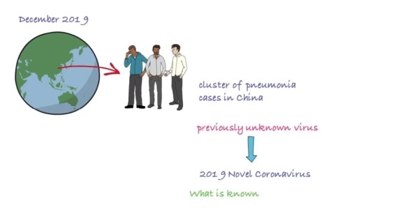 [리더스진 치과의원] 서울대학교 대학원 연구실에서 동물성 바이러스 연구를 하신 경험이 있으신 전진모 원장님의 우한바이러스 치료법 (원인, 발생, 역학, 예방, 치료, 백신)-(1) 관련 이미지 2
