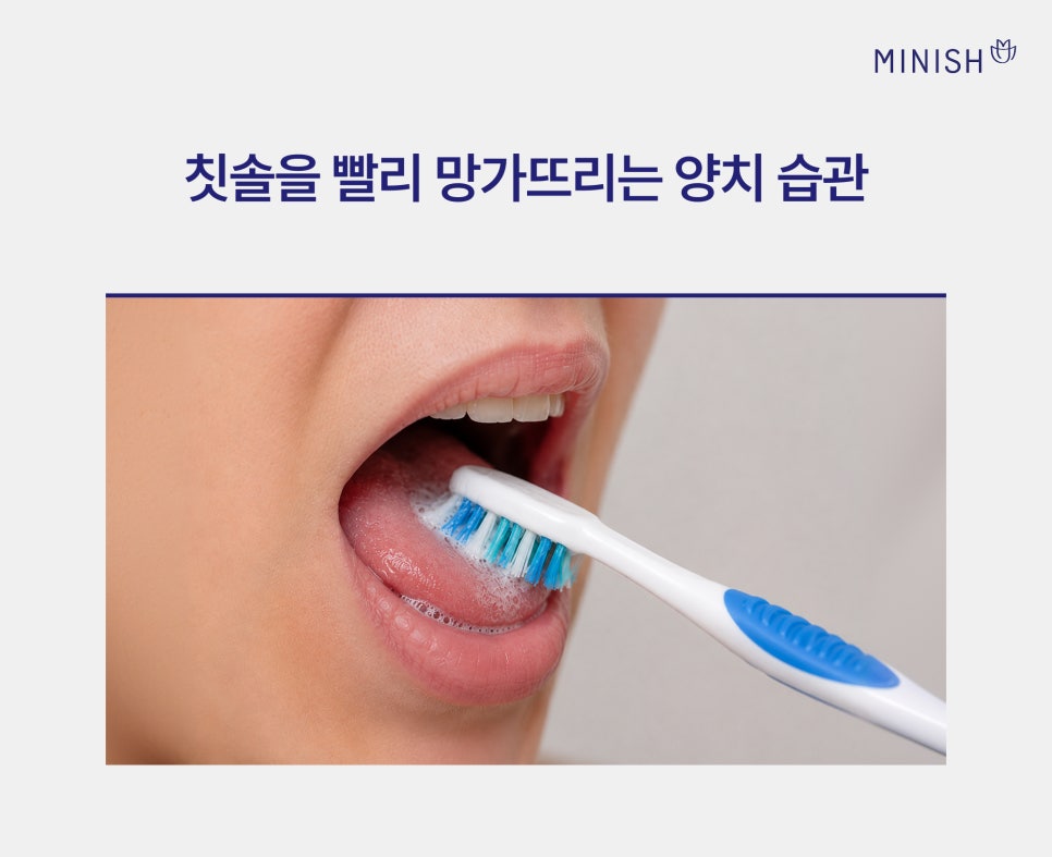 How Often Should You Replace Your Toothbrush? image 4