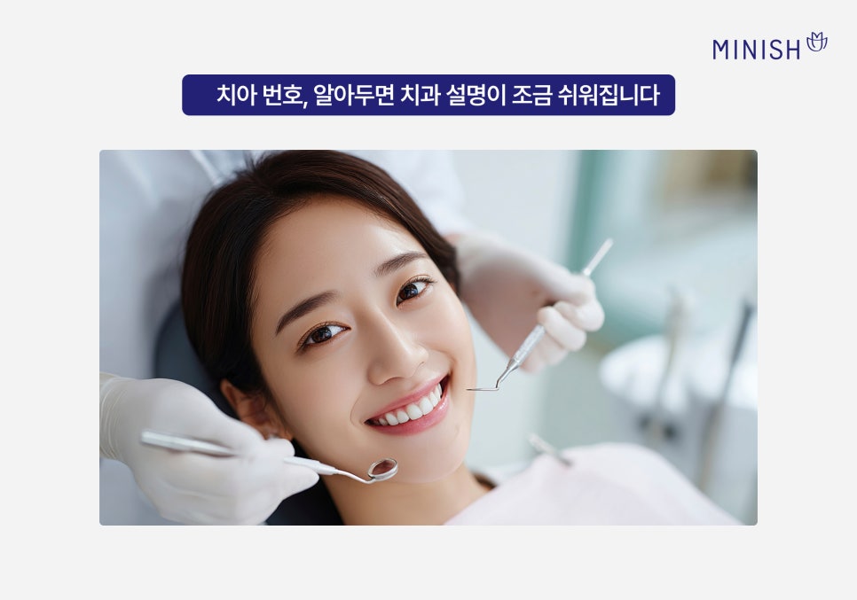 알아두면 좋은 치아상식 치아이름 치아번호 알아보기 관련 이미지 5