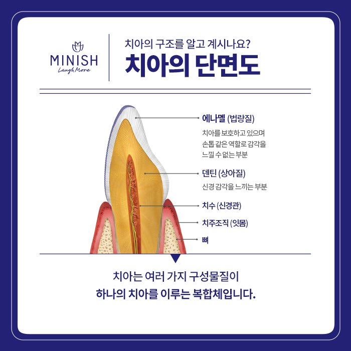 ChosunBiz ‘Finding the Master’ – Dr. Kang Jeong-ho, who developed MINISH, a new innovation in dental treatment image 3
