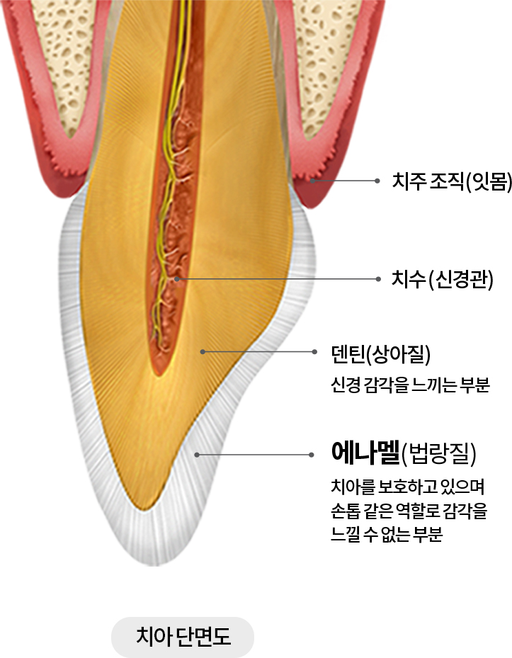 비앤빛 강남밝은세상안과에서 미니쉬 강연...첨단의료, 빅데이터 공통점 관련 이미지 6