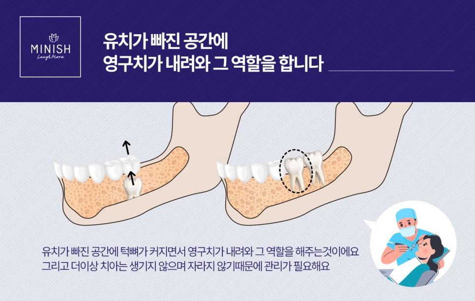 [치아상식] 그것이 알고 싶다 - 치아는 왜 두 번만 나는 걸까? 관련 이미지 6